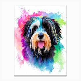 Bearded Collie Rainbow Oil Painting dog Canvas Print