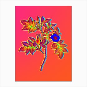 Neon Mountain Rose Bloom Botanical in Hot Pink and Electric Blue n.0080 Canvas Print