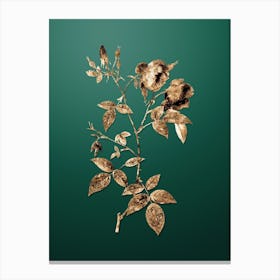 Gold Botanical Velvet China Rose on Dark Spring Green n.2117 Canvas Print