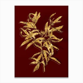 Vintage Sweetfern Botanical in Gold on Red n.0248 Canvas Print
