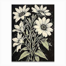 Daisies Canvas Print