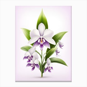 Orchid Flower Vector Illustration Canvas Print
