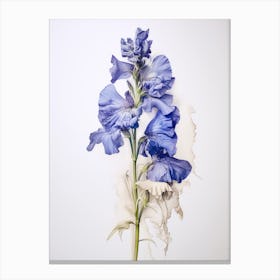 Pressed Flower Botanical Art Delphinium 2 Canvas Print
