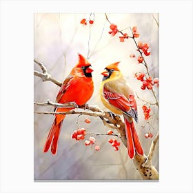 Cardinals Canvas Print