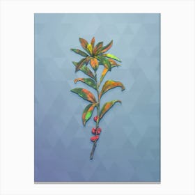 Vintage February Daphne Flowers Botanical Art on Summer Song Blue n.0826 Canvas Print