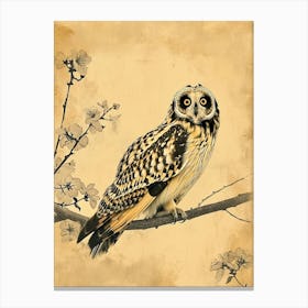 Short Eared Owl Vintage Illustration 1 Canvas Print