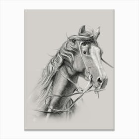 Horse Head Drawing Canvas Print