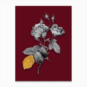 Vintage Anemone Centuries Rose Black and White Gold Leaf Floral Art on Burgundy Red n.1019 Canvas Print