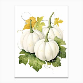 White Pumpkin Watercolour Illustration 3 Canvas Print