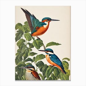 Kingfisher 2 James Audubon Vintage Style Bird Canvas Print