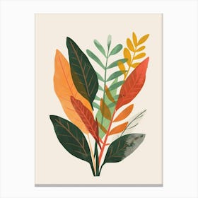 Croton Plant Minimalist Illustration 6 Canvas Print