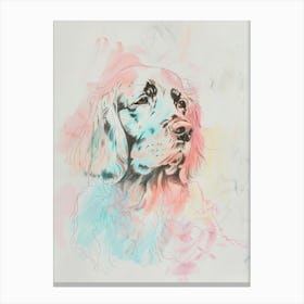 Colourful Bergamasco Sheepdog Abstract Line Illustration 3 Canvas Print