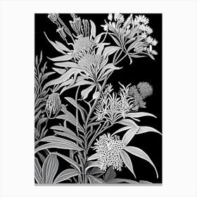 Butterfly Weed Wildflower Linocut Canvas Print