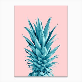 Pineapple On Pink Background_2057839 Canvas Print
