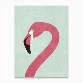 Fauna Flamingo Canvas Print