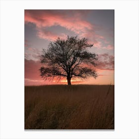 Sunset Tree 2 Canvas Print