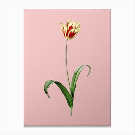 Vintage Didier's Tulip Botanical on Soft Pink n.0634 Canvas Print