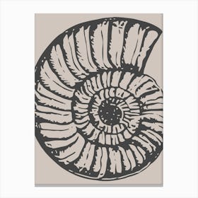 Ammonite Shell Canvas Print