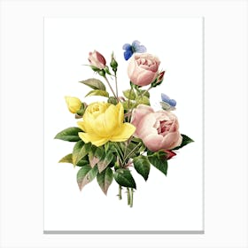 Vintage Variety of Roses Botanical Illustration on Pure White n.0899 Canvas Print