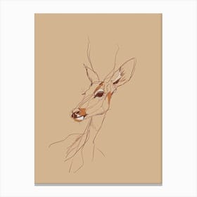 Deer Head Canvas Print