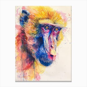 Baboon Colourful Watercolour 4 Canvas Print