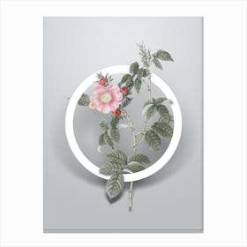 Vintage Big Flowered Dog Rose Minimalist Floral Geometric Circle on Soft Gray n.0284 Canvas Print