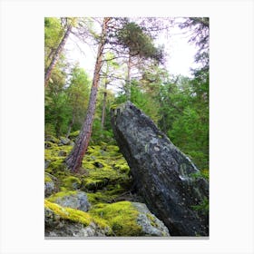 Moss Covered Rocks In The Forest 1 Canvas Print