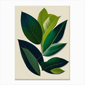 Bay Leaf Vibrant Inspired Canvas Print