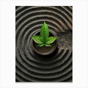 Cannabis Leaf In A Circular Bowl Canvas Print