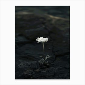 White Flower 23 Canvas Print