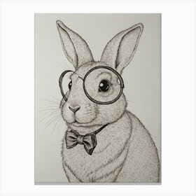 Rabbit With Glasses 1 Canvas Print