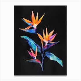 Bird Of Paradise 63 Canvas Print