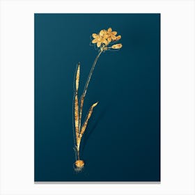 Vintage Galaxia Ixiaeflora Botanical in Gold on Teal Blue Canvas Print
