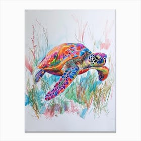Sea Turtle With Marine Plants Scribble 2 Canvas Print