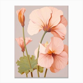 Floral Illustration Nasturtium 3 Canvas Print