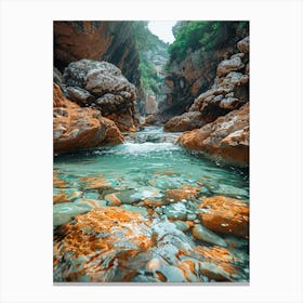 Rocky River In The Mountains 1 Canvas Print