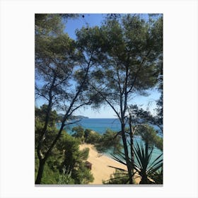 Beach View From The Trees | Seascape photography Art Print Canvas Print