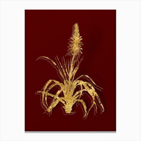 Vintage Pina Cortadora Botanical in Gold on Red n.0384 Canvas Print