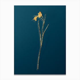 Vintage Blue Pipe Botanical in Gold on Teal Blue n.0018 Canvas Print