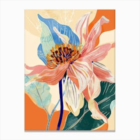 Colourful Flower Illustration Dahlia 1 Canvas Print