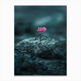 Single Pink Flower 9 Canvas Print