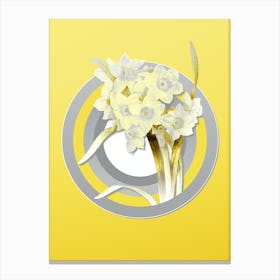 Botanical Bunch Flowered Daffodil in Gray and Yellow Gradient n.396 Canvas Print
