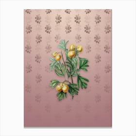 Vintage Aronia Thorn Flower Botanical on Dusty Pink Pattern Canvas Print