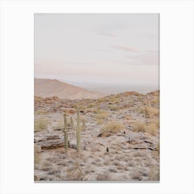 Pastel Desert Sky Canvas Print
