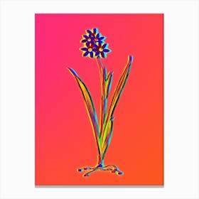 Neon Ixia Fusco Citrina Botanical in Hot Pink and Electric Blue n.0441 Canvas Print