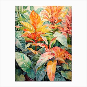 Tropical Plant Painting Chinese Evergreen 1 Canvas Print