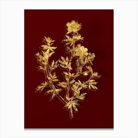 Vintage Yellow Buttercup Flowers Botanical in Gold on Red Canvas Print