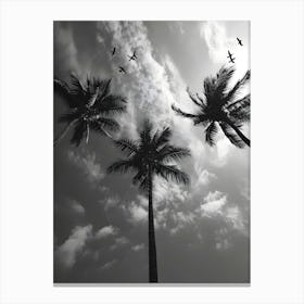 Silhouette Of Palm Trees Canvas Print