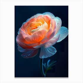 Peony 3 Canvas Print