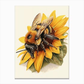 Carpenter Bee Storybook Illustration 9 Canvas Print